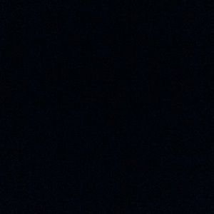 Meet your Posher, Joey